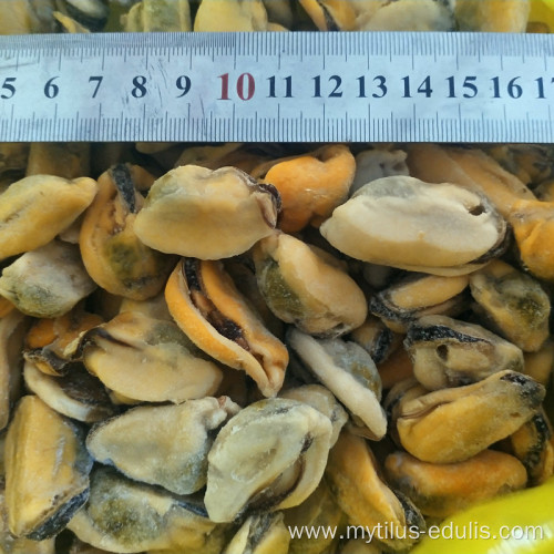 wholesale new arrival frozen boiled mussel meat